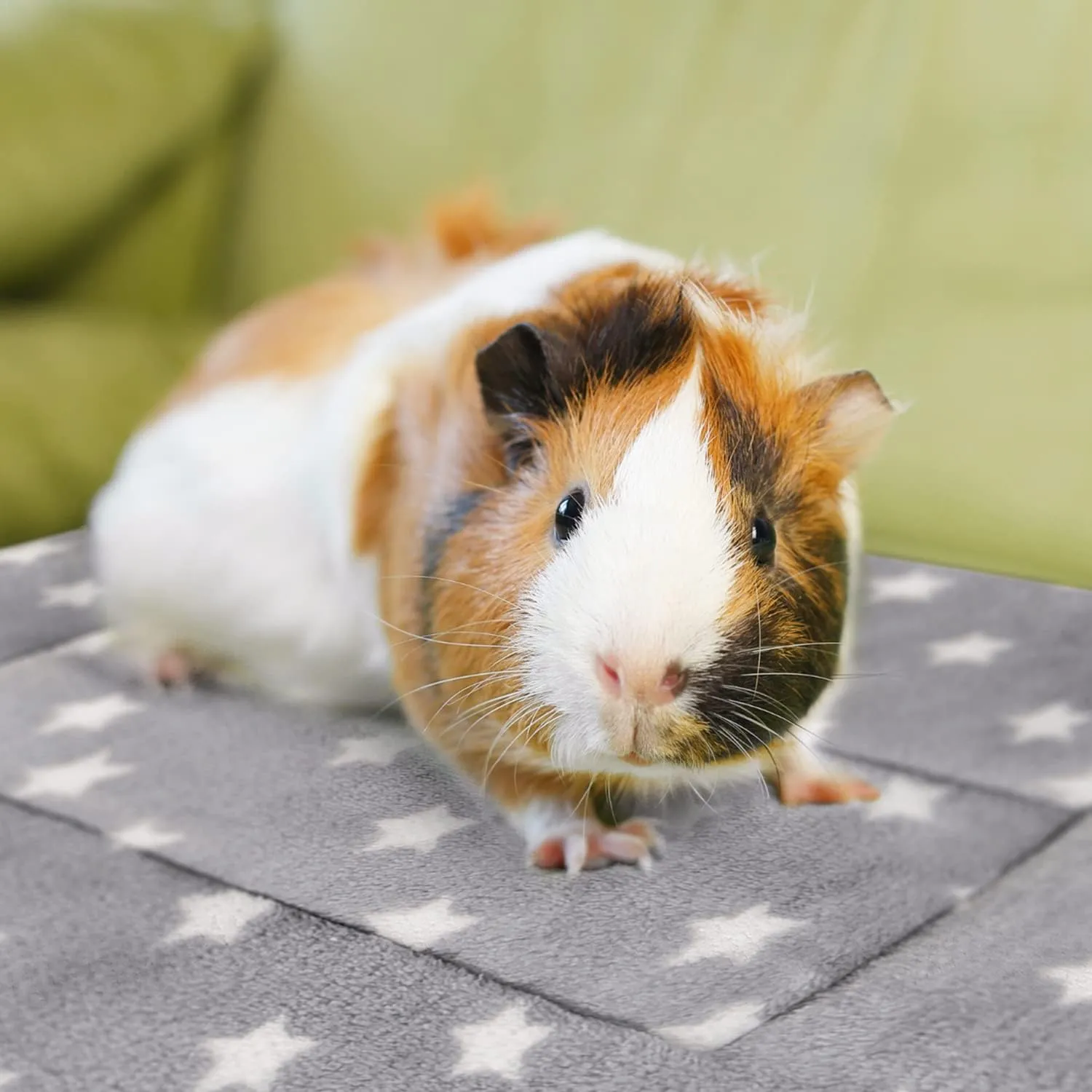3PCS Guinea Pig Bed Soft Rabbit Bedding Cage Liner Warm Bunny Mats Pee Pads Fleece Blanket Plush Hamster Sleep Beds Ferret Squirrel Hedgehog Rat