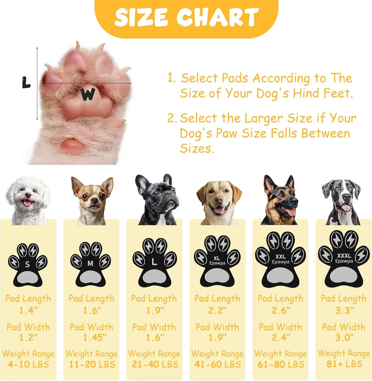 Anti-Slip Dog Paw Protectors for Senior Dogs - Traction Pads for Hardwood Floors & Hot Pavement, Durable Dog Paw Grips with Strong Traction (5 Sets, 20 Pcs) XL