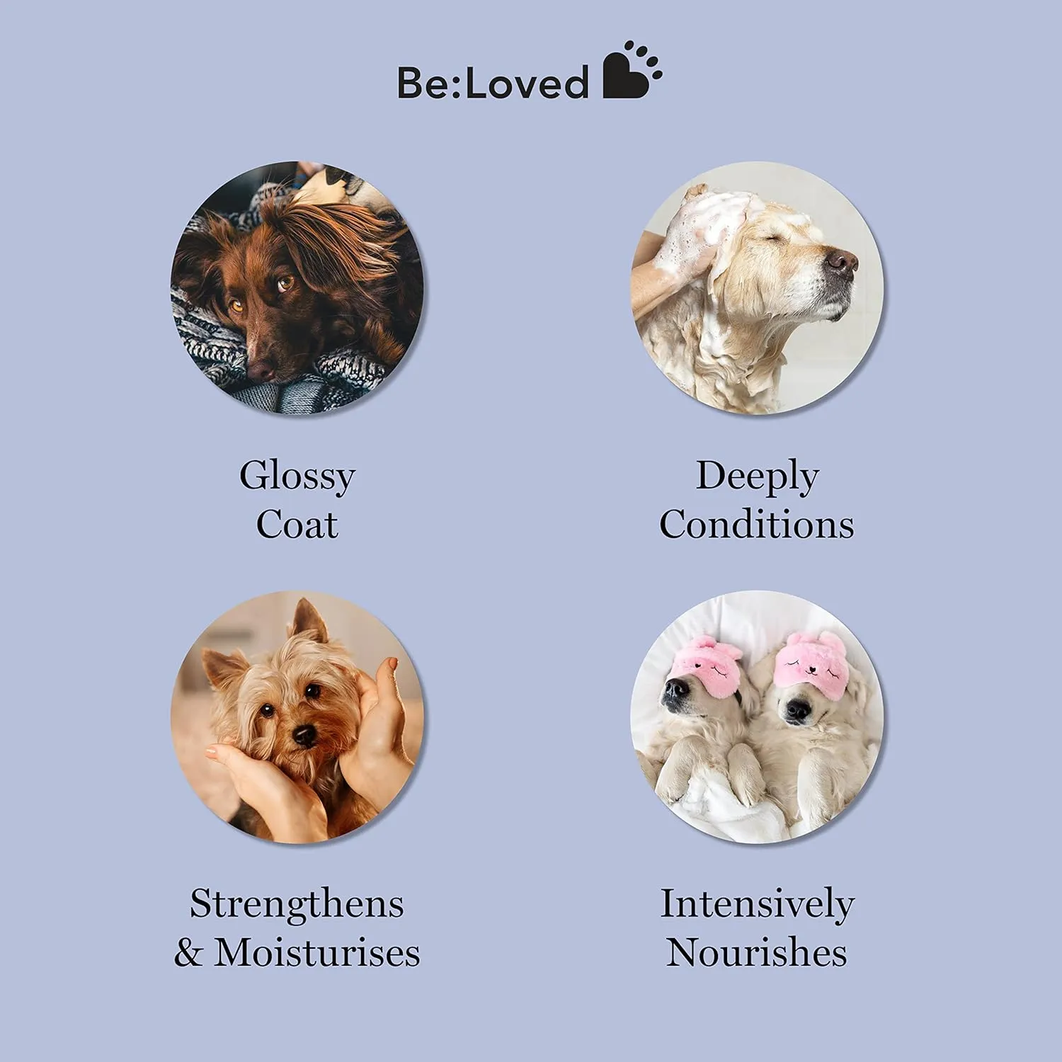 Be:Calm Calming Dog Shampoo Bar  110g  Natural Formula with Goat Milk, Lavender & Chamomile  Soothes Skin & Conditions Coat  Long-Lasting Bar  Approx. 30 Washes