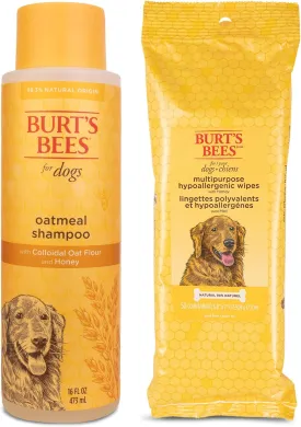 Burt's Bees for Pets Dog Grooming Bundle: Oatmeal Shampoo, 16oz, & Wipes for Dogs, 50ct, with Naturally Derived Colloidal Oat Flour and Honey, Waterless Bathing