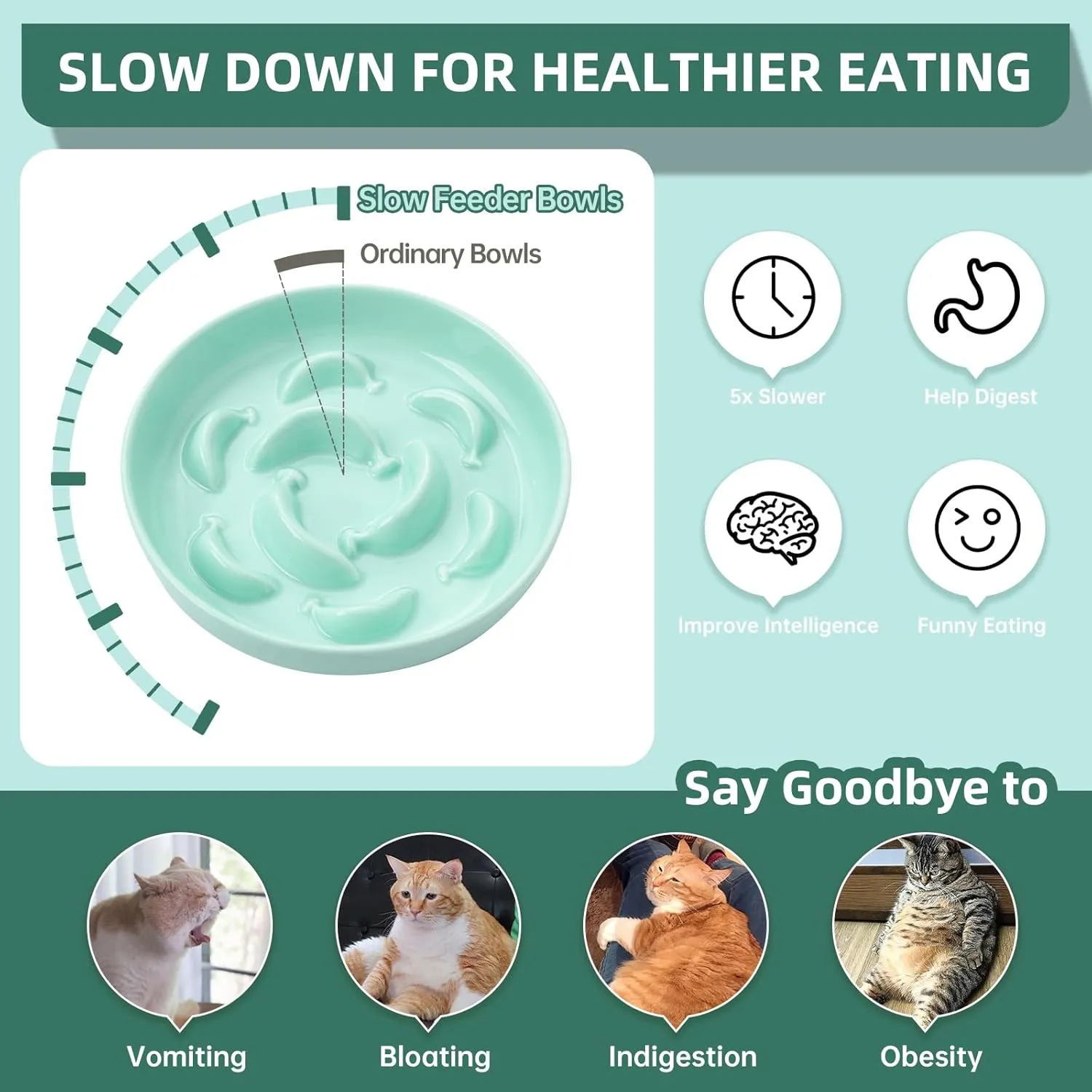 Cat Slow Feeder Bowl Set - 2 Pcs Ceramic Cat Food Plates for Slow Eating - Double Cat Dish for Dry Wet Food - Slow Feeding Cat Bowls Whisker Friendly - Microwave and Dishwasher Safe - Blue and Green