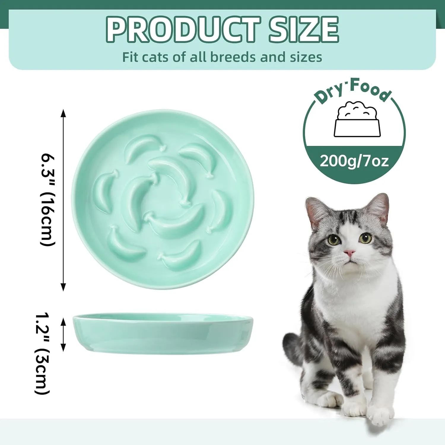 Cat Slow Feeder Bowl Set - 2 Pcs Ceramic Cat Food Plates for Slow Eating - Double Cat Dish for Dry Wet Food - Slow Feeding Cat Bowls Whisker Friendly - Microwave and Dishwasher Safe - Blue and Green