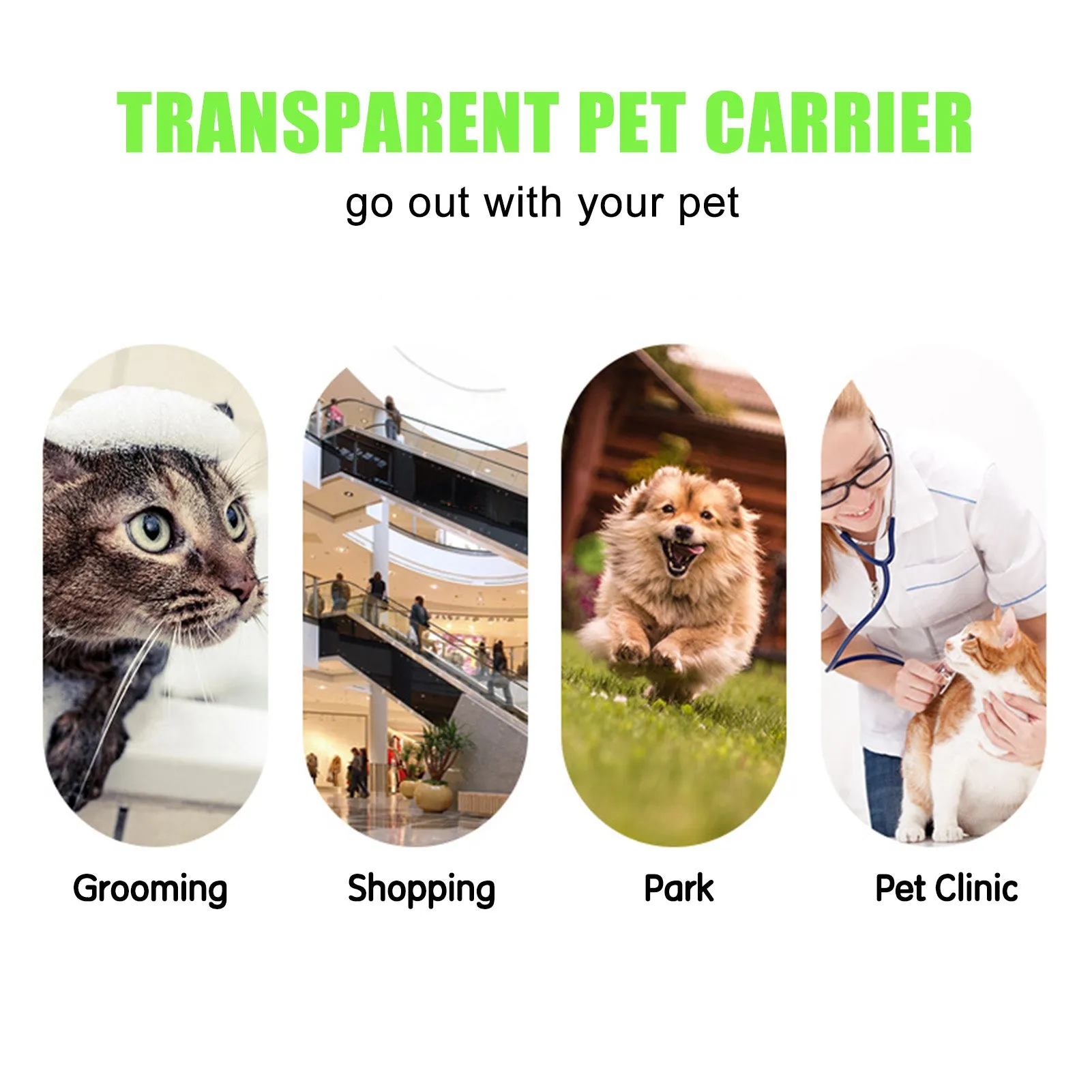 Cats Transparent Totes With Mesh PVC Bags