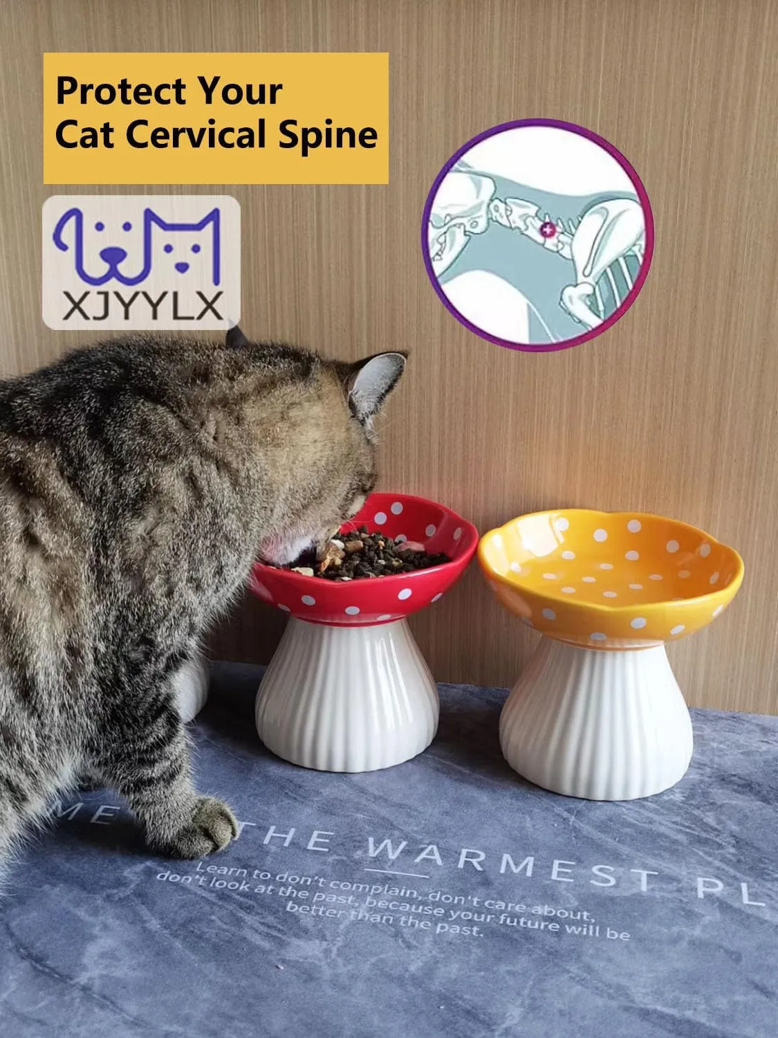 Ceramic Raised Mushroom Cat Bowl Set, Cute Elevated Cat Bowls Whisker Friendly, Raised Dish for Food and Water, Red Yellow 6" Wide for Adult Cats, Small Dog