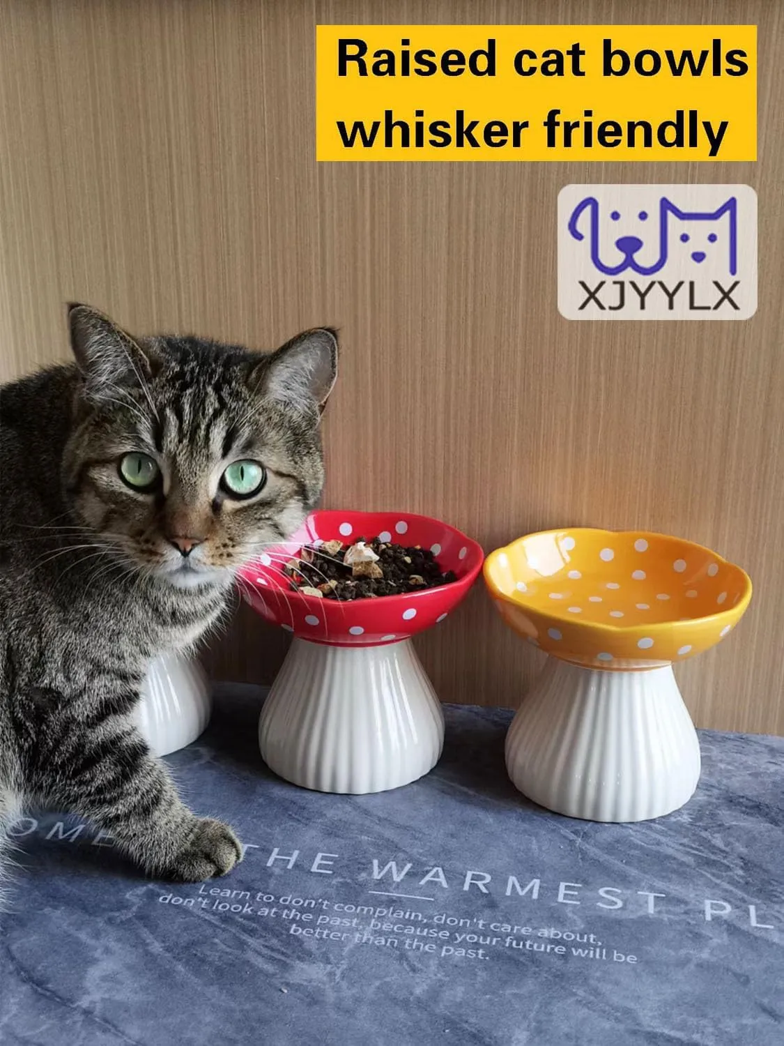 Ceramic Raised Mushroom Cat Bowl Set, Cute Elevated Cat Bowls Whisker Friendly, Raised Dish for Food and Water, Red Yellow 6" Wide for Adult Cats, Small Dog