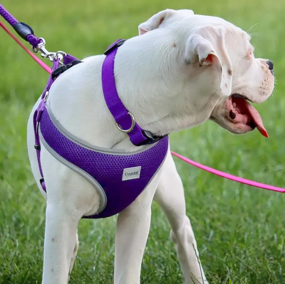 Comfort Soft Reflective Wrap Adjustable Dog Harness