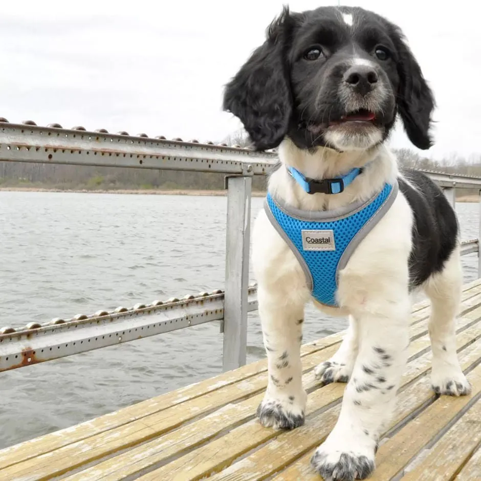 Comfort Soft Reflective Wrap Adjustable Dog Harness