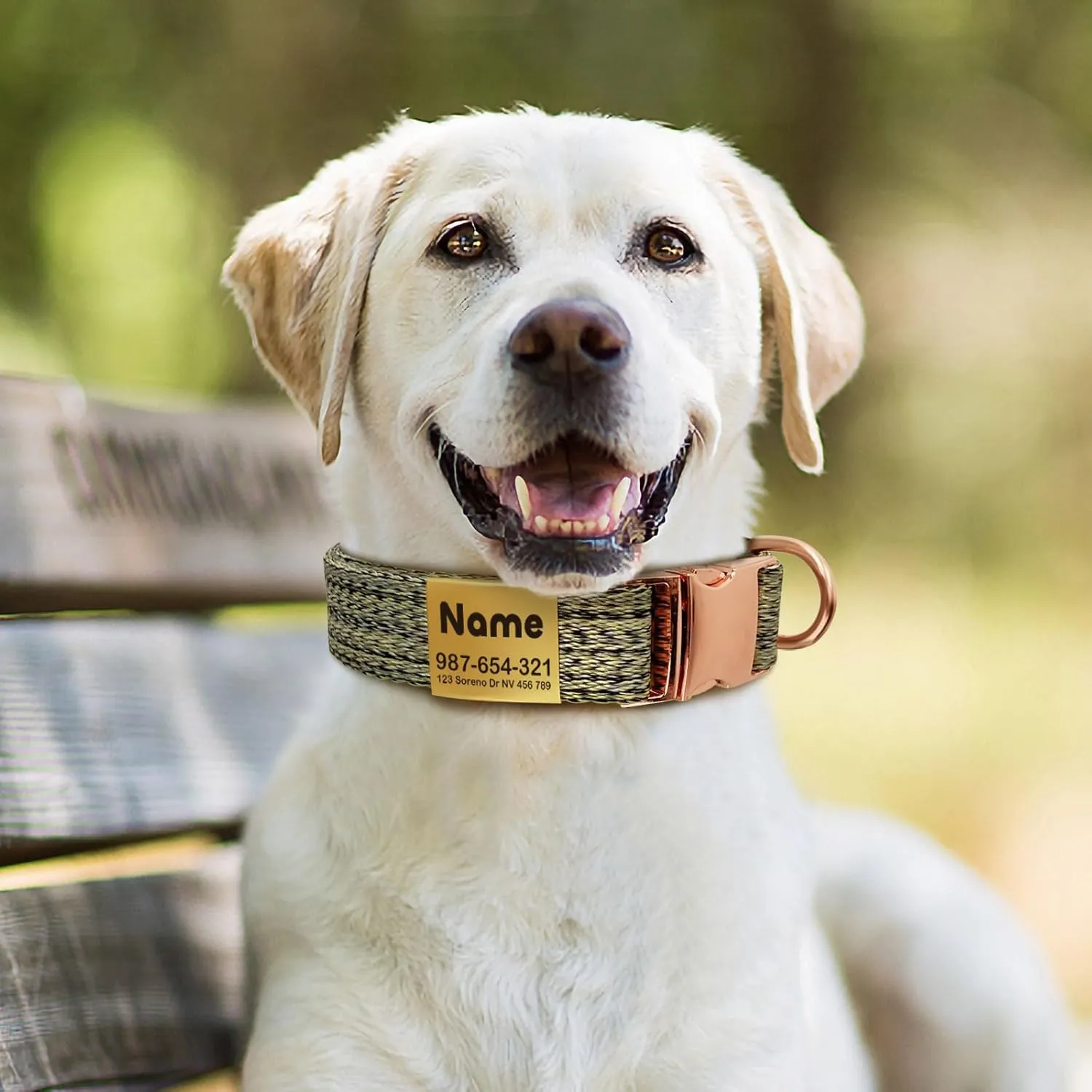 Custom Personalized Dog Collar with ID Tag - Thin, Soft, and Durable Cute for Puppy & Kitten Collars - Metal Buckle Engraved Pet Tag with Name - Female, Girl, Boy Cat and Dog Adjustable Collar Medium