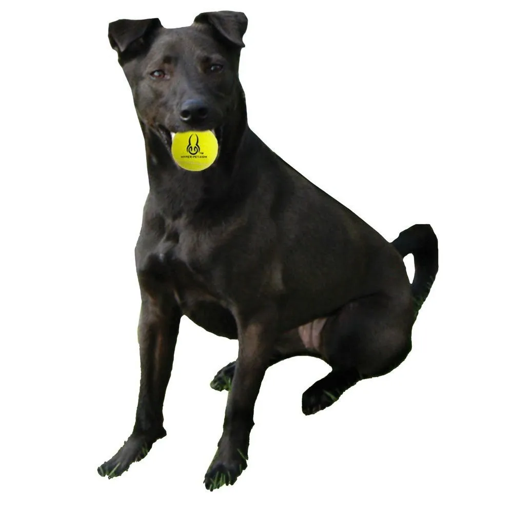 Dog Fetch Toys, Grade A Rubber Ball, Orange, 4 Count