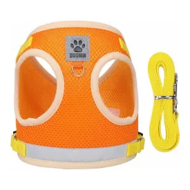 Dog Harness Orange