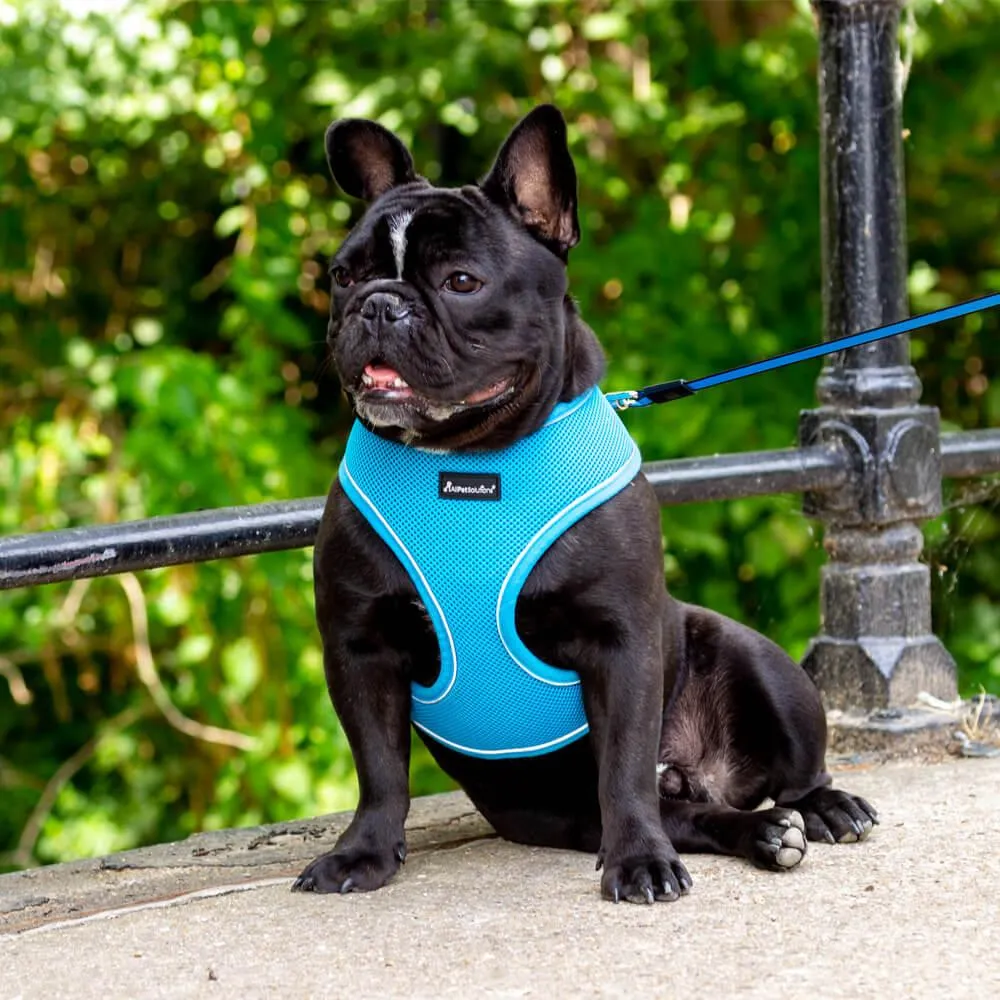 Dog Harness with Reflective Strip in Blue S/M/L/XL