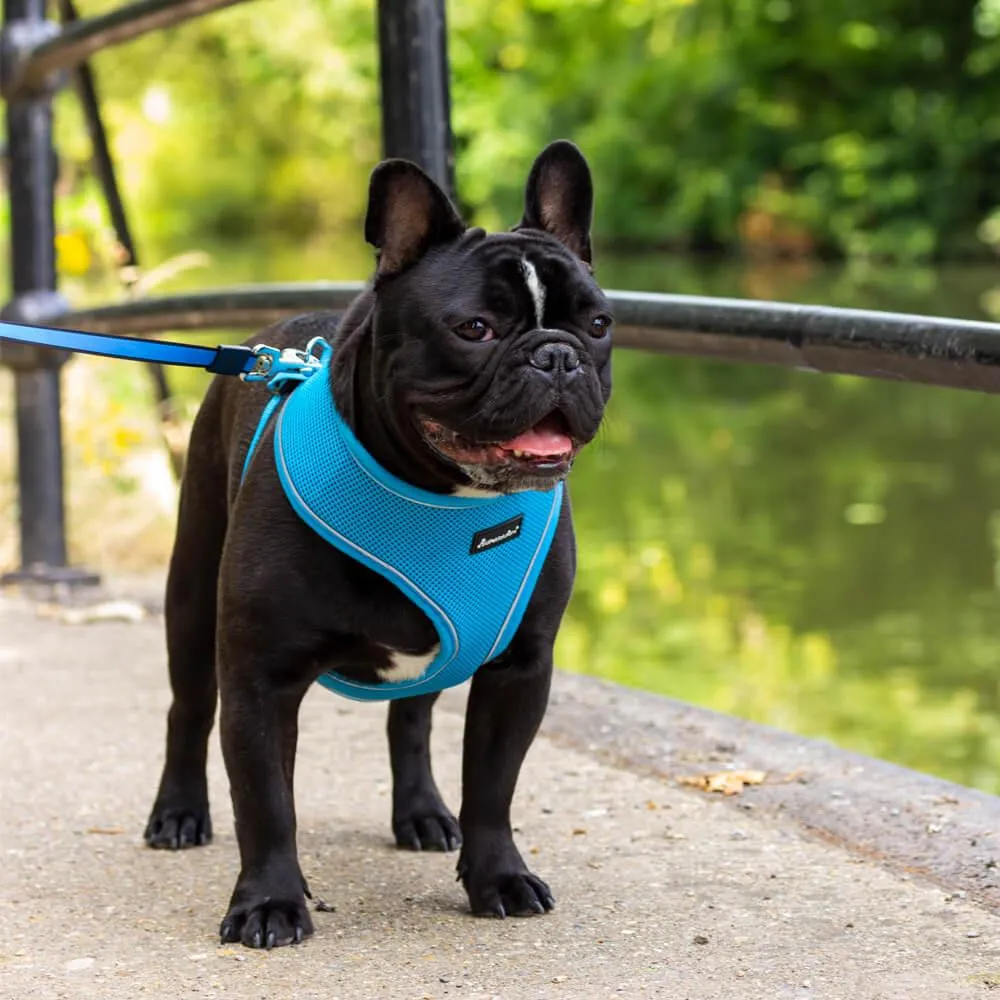 Dog Harness with Reflective Strip in Blue S/M/L/XL