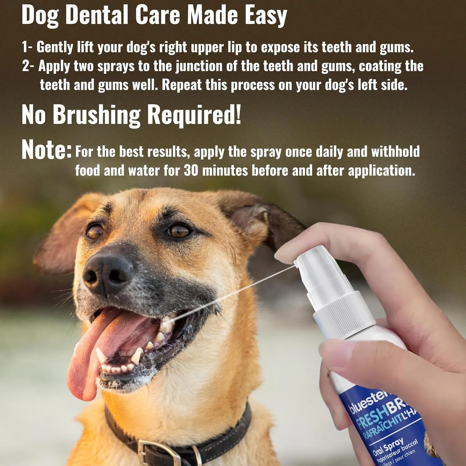 Dog Oral Spray Breath Freshener: Pet Dental Teeth & Mouth Cleaning Spray That Treats All Dogs Bad Breath Smell When Breathing. Tooth Tartar   Plaque Cleaner Remedy. Small Mint Flavor Remover for Pets