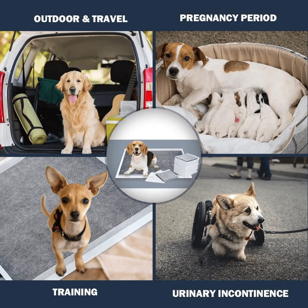 Dono Carbon Training Pads for Dogs and Cats (60x45cm)