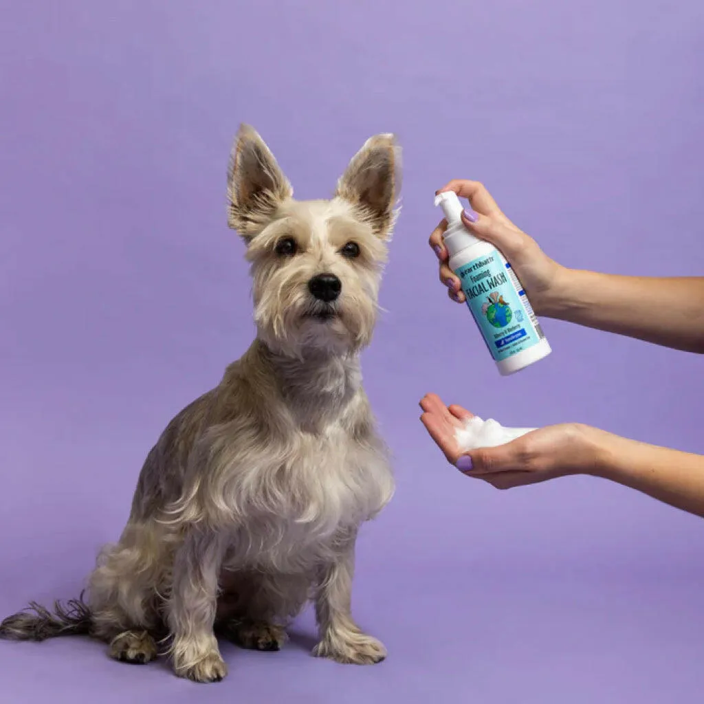 Earthbath Bilberry & Blueberry Foaming Facial Wash for Dogs & Cats (8 oz)