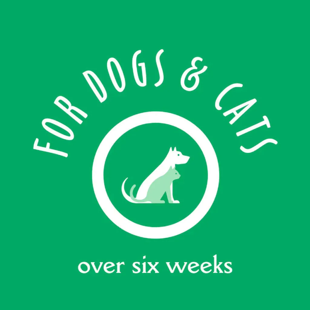 Earthbath Hypo-Allergenic Shampoo for Dogs & Cats
