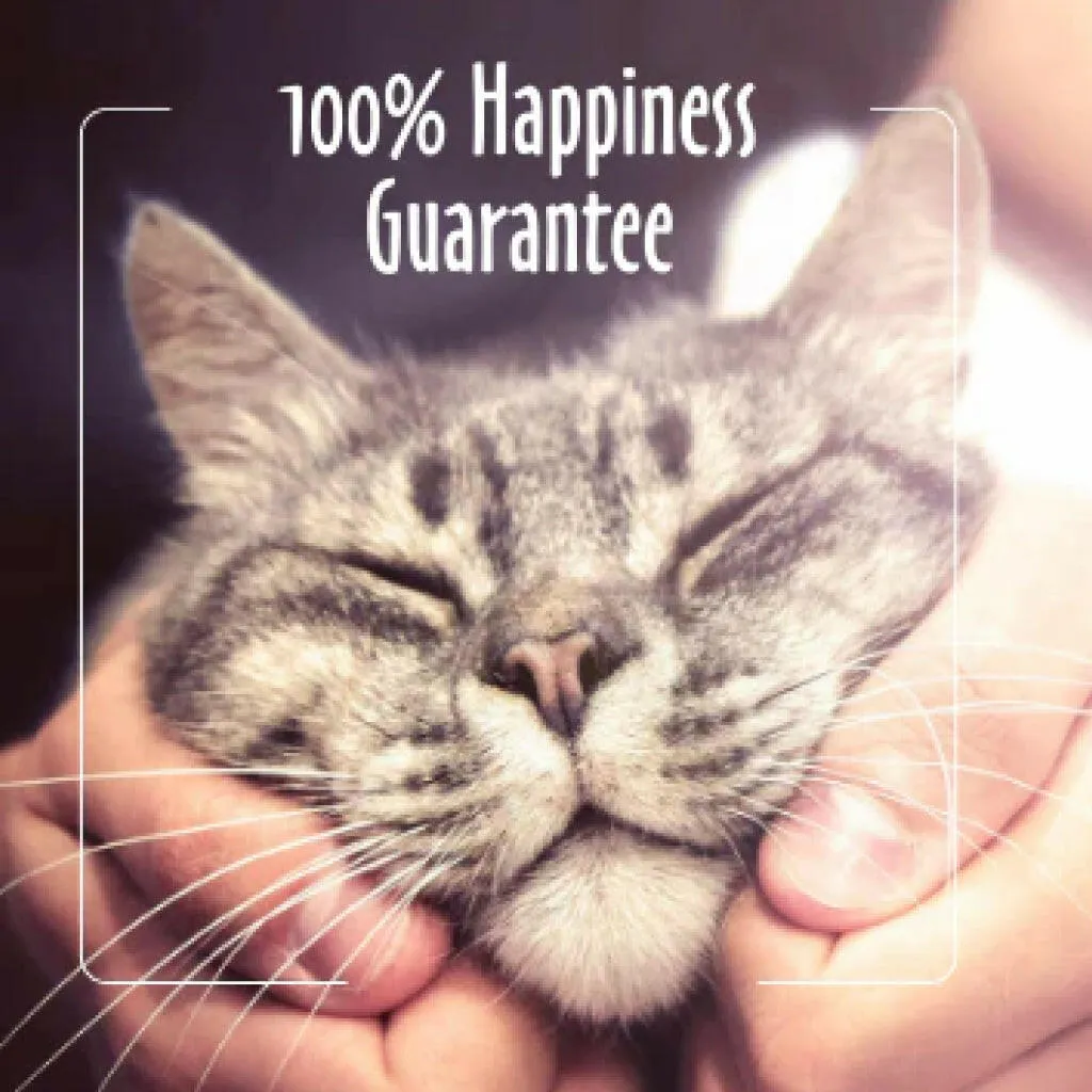 Earthbath Hypo Allergenic Waterless Grooming Foam for Cats (4 oz)