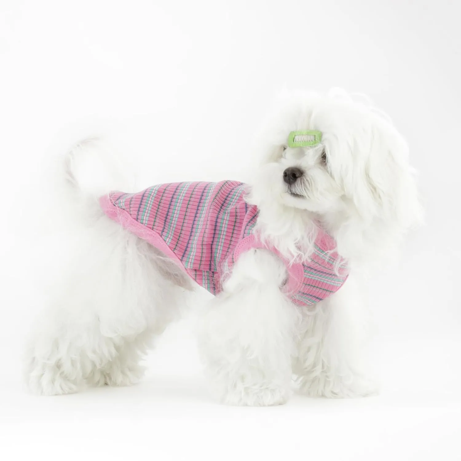 Elevate Your Pet's Comfort and Fashion: Premium 100% Cotton Rib Dog Shirt Vest for Small Breeds Like Chihuahuas, Yorkies, and Puppies .Year-Round Style with Tank-Style Puppy Attire Green X-Small