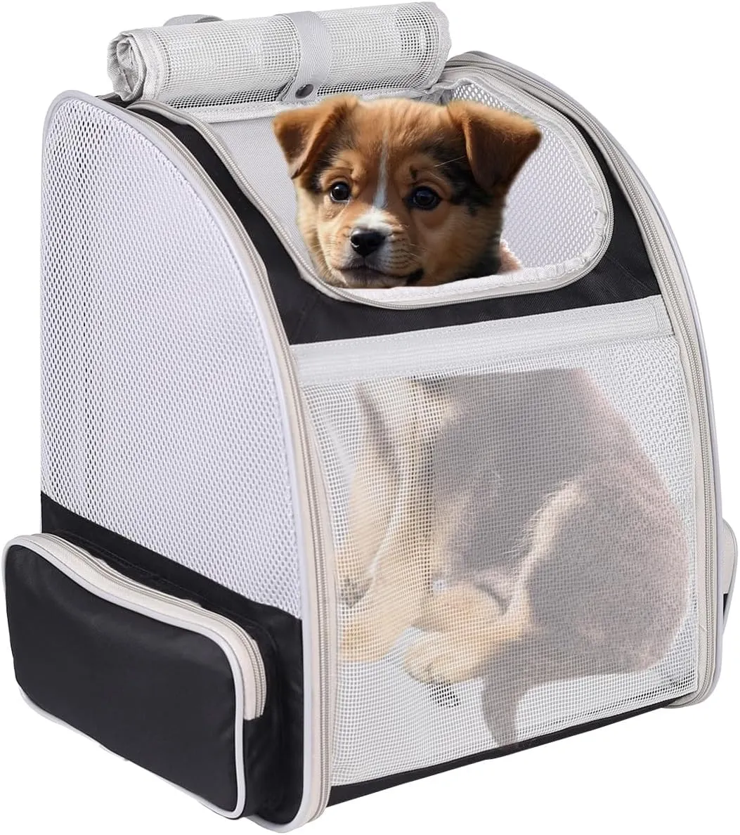 Expandable Pet Carrier for Cats and Small Dogs,Ventilated Carrier Backpacks Bag with Comfortable Shoulder Straps, Airline Approved Pet Carriers for Small Dogs Kitten Puppy (Black, Mesh Back Extension)
