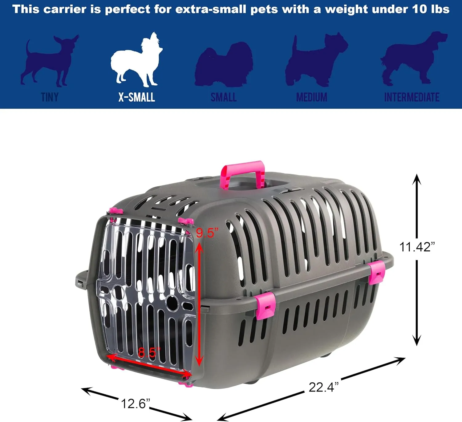 Ferplast Jet Pet Carrier: Value Dog Carrier Suitable for XS Dog Breeds & Small Cats, Assembled Dimensions: 22L x 14.5W x 13H inches, Fuchsia, (73043020PBUS)