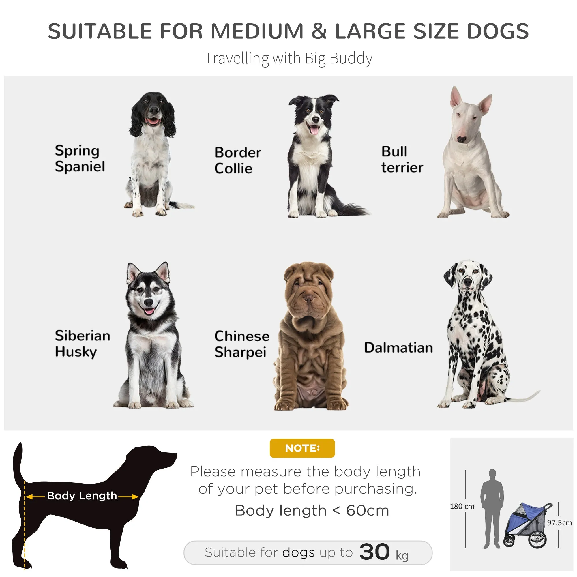 Foldable Pet Stroller with Washable Cushion Storage Bags Safety Leash for Medium Large Dogs Catts Travel - Blue
