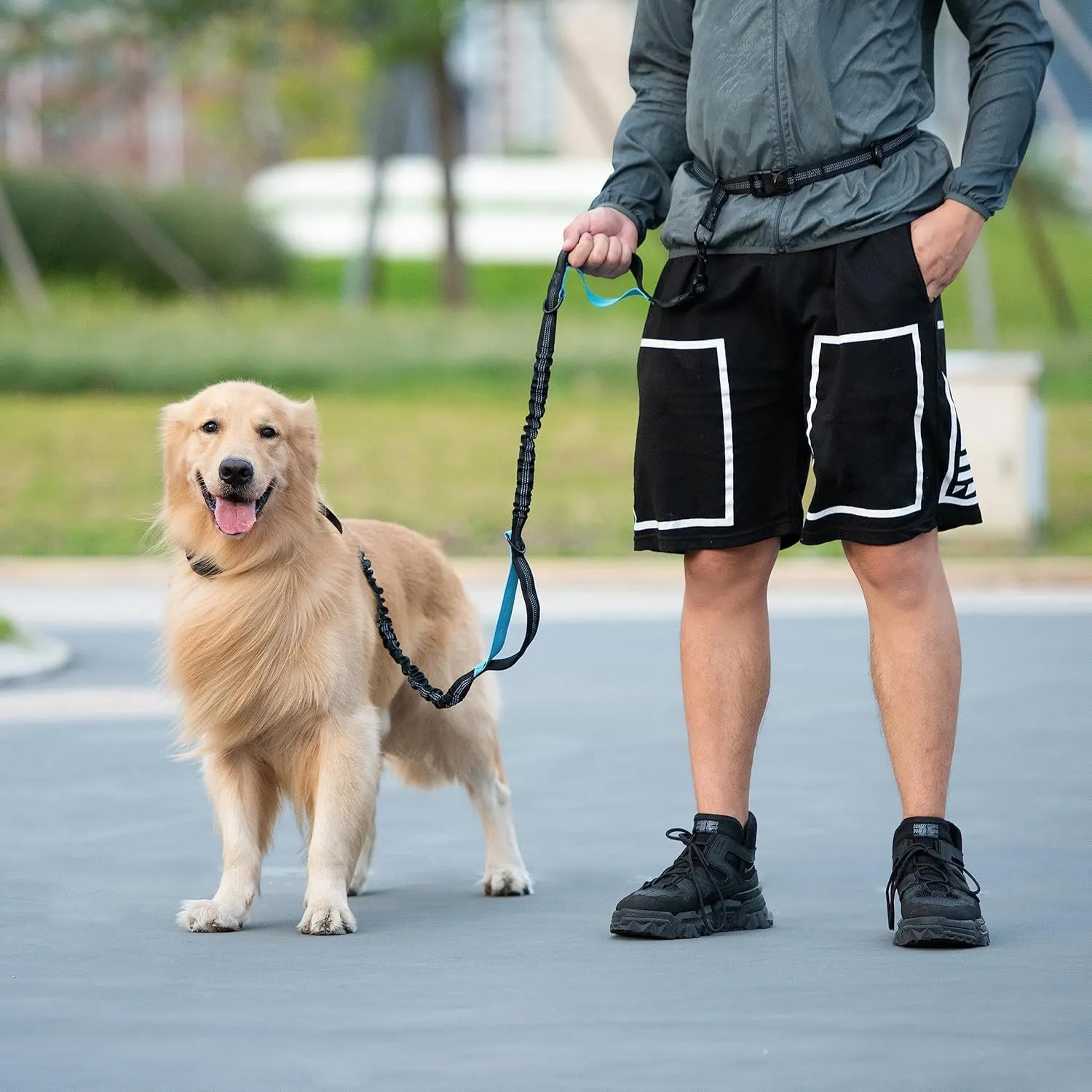 Hands-Free Dog Leash with Bungee and Zipper Pouch  Adjustable Waist Belt (51 to 59), Dual Padded Handles, Durable for Dogs 25-120 lbs  Perfect for Walking, Running, or Jogging (Green)