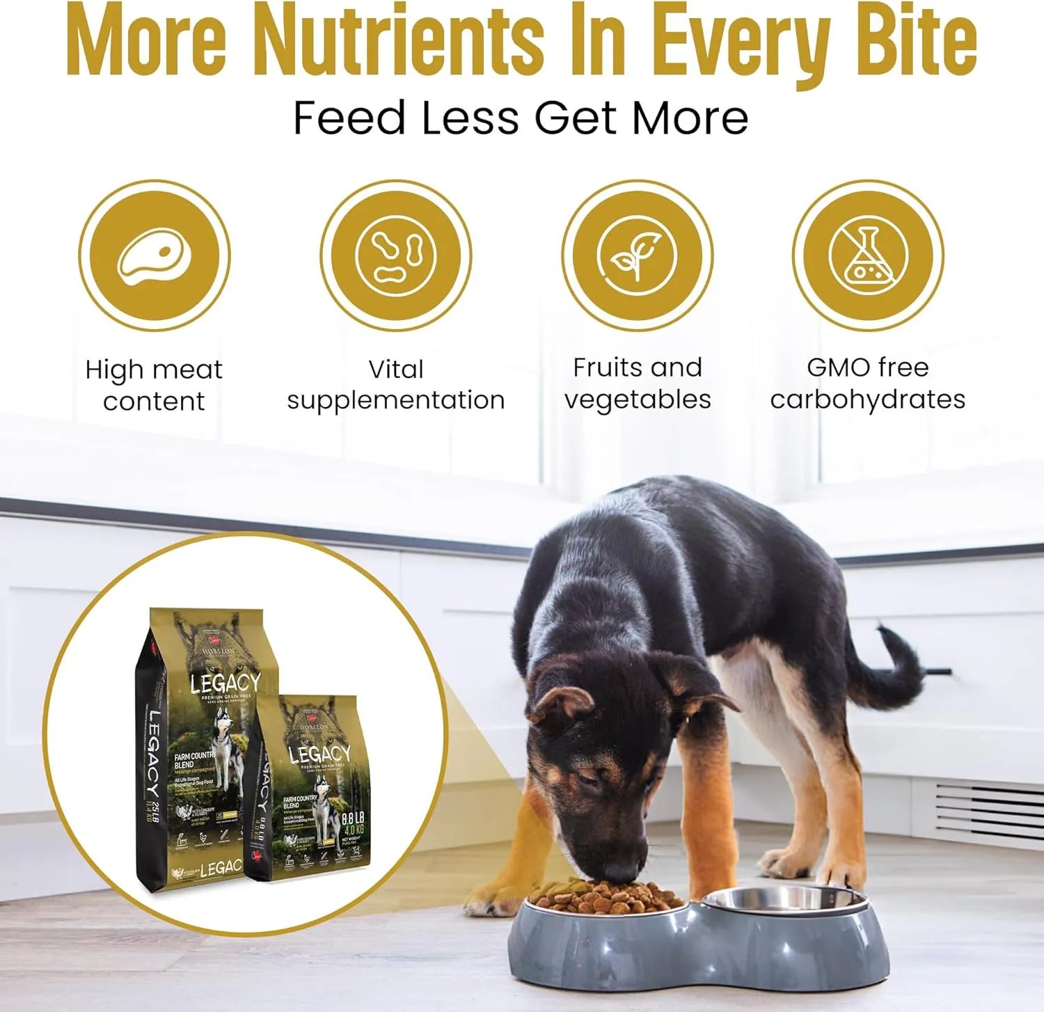 HORIZON PET NUTRITION Legacy Grain-Free Dry Adult Dog Food, 8.8 Pounds, Natural