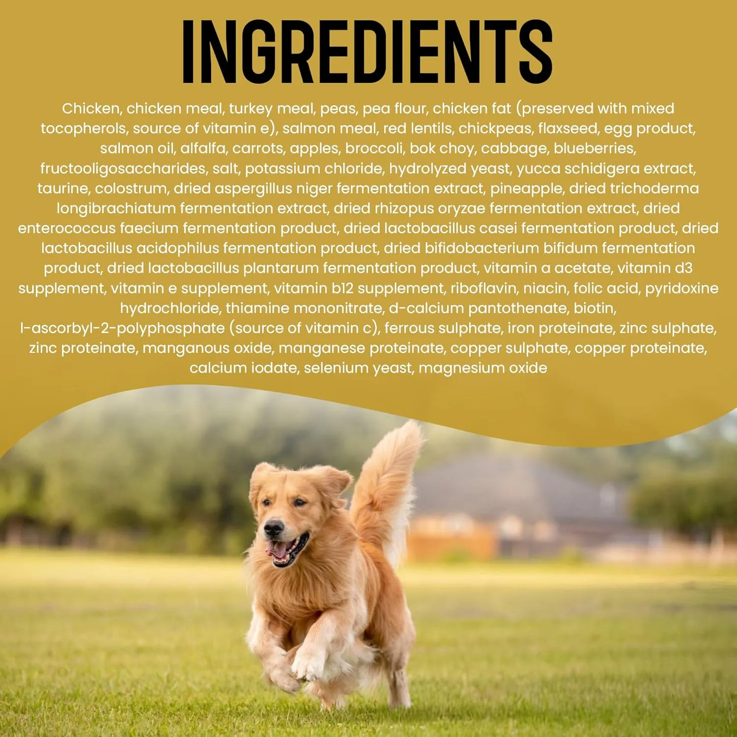 HORIZON PET NUTRITION Legacy Grain-Free Dry Adult Dog Food, 8.8 Pounds, Natural