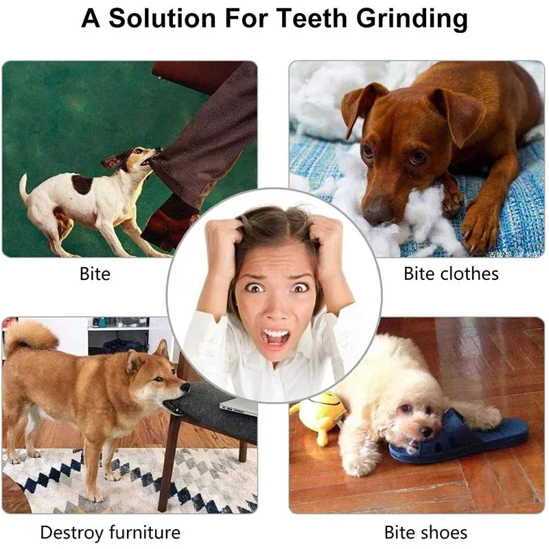 Interactive Dog Ball Toy - Chew, Play, and Clean Teeth for Small Dogs