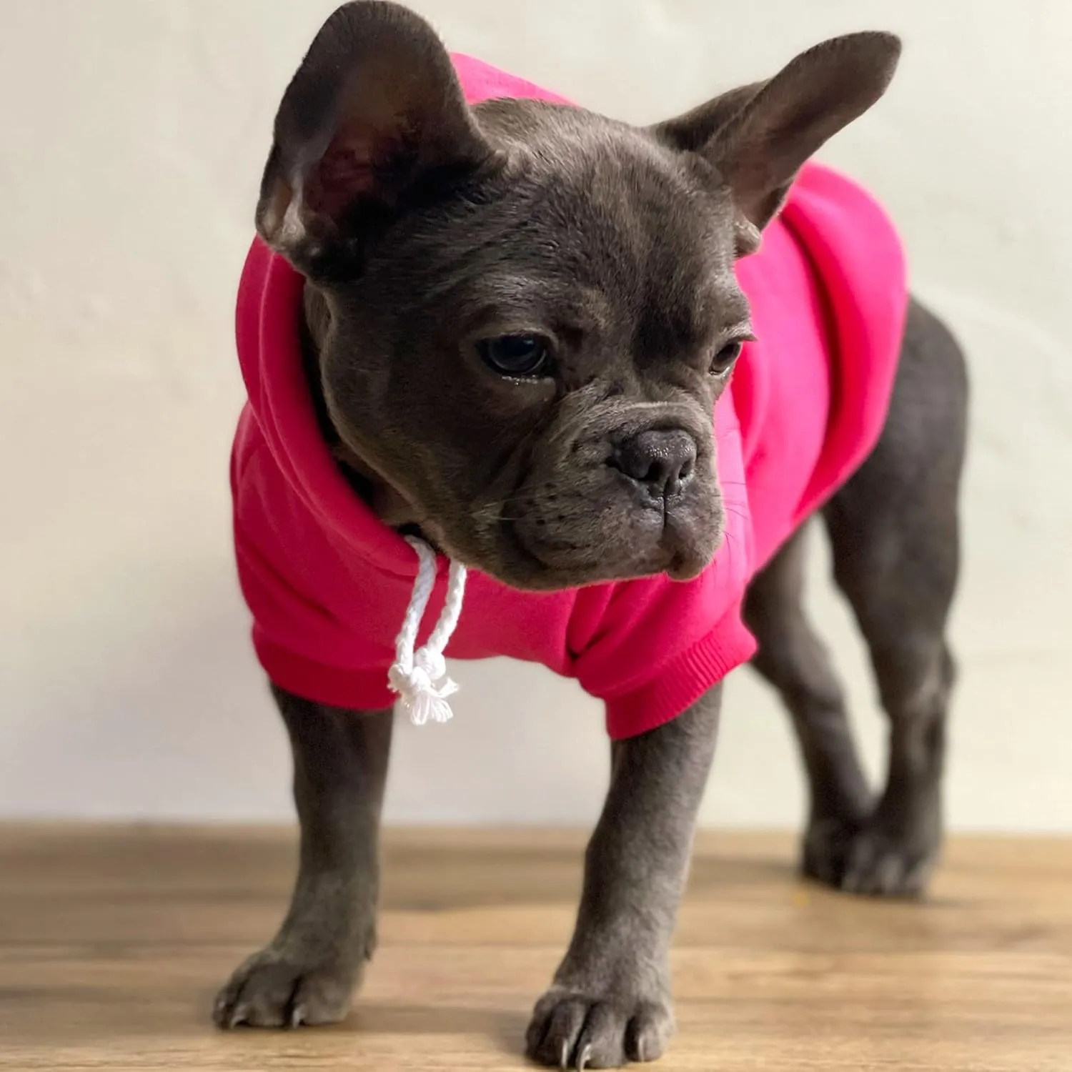 It's My Barkitzvah! Dog Hoodie Fleece Lined Pullover Sweatshirt with Leash Hole (Green, Medium 162)