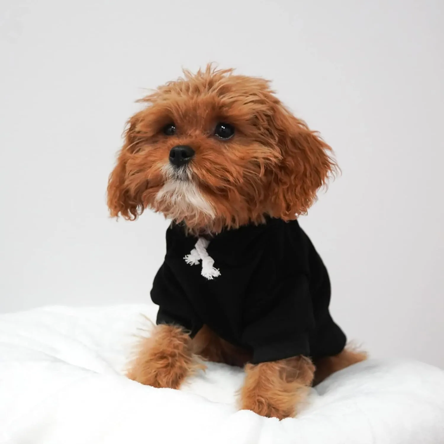 It's My Gotcha Day Dog Hoodie Fleece Lined Pullover Sweatshirt with Leash Hole (Black, Small 12)