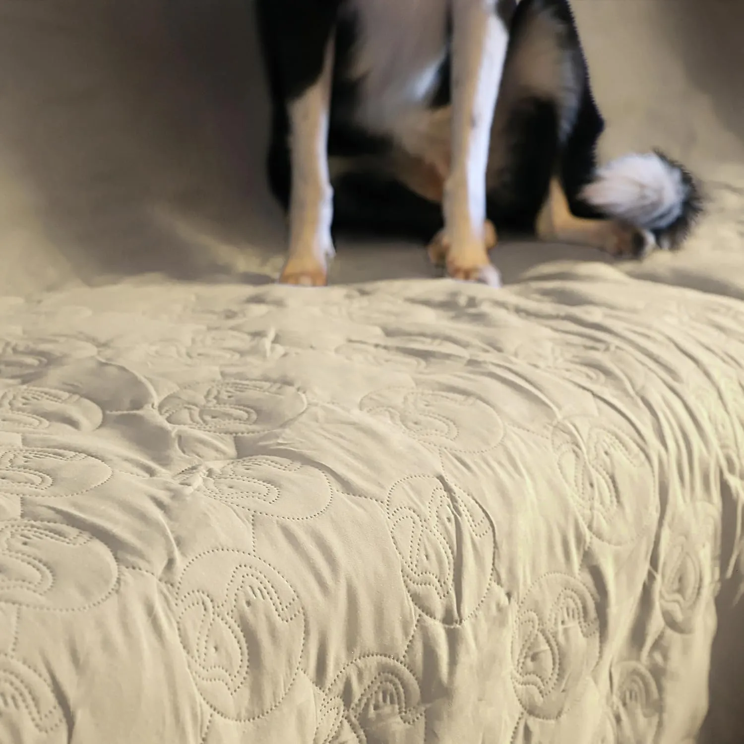 Kritter Planet No Slip Pet Couch Cover, Waterproof Dog Bed Cover, Washable Sofa Furniture Protector Mat for Dogs Cats