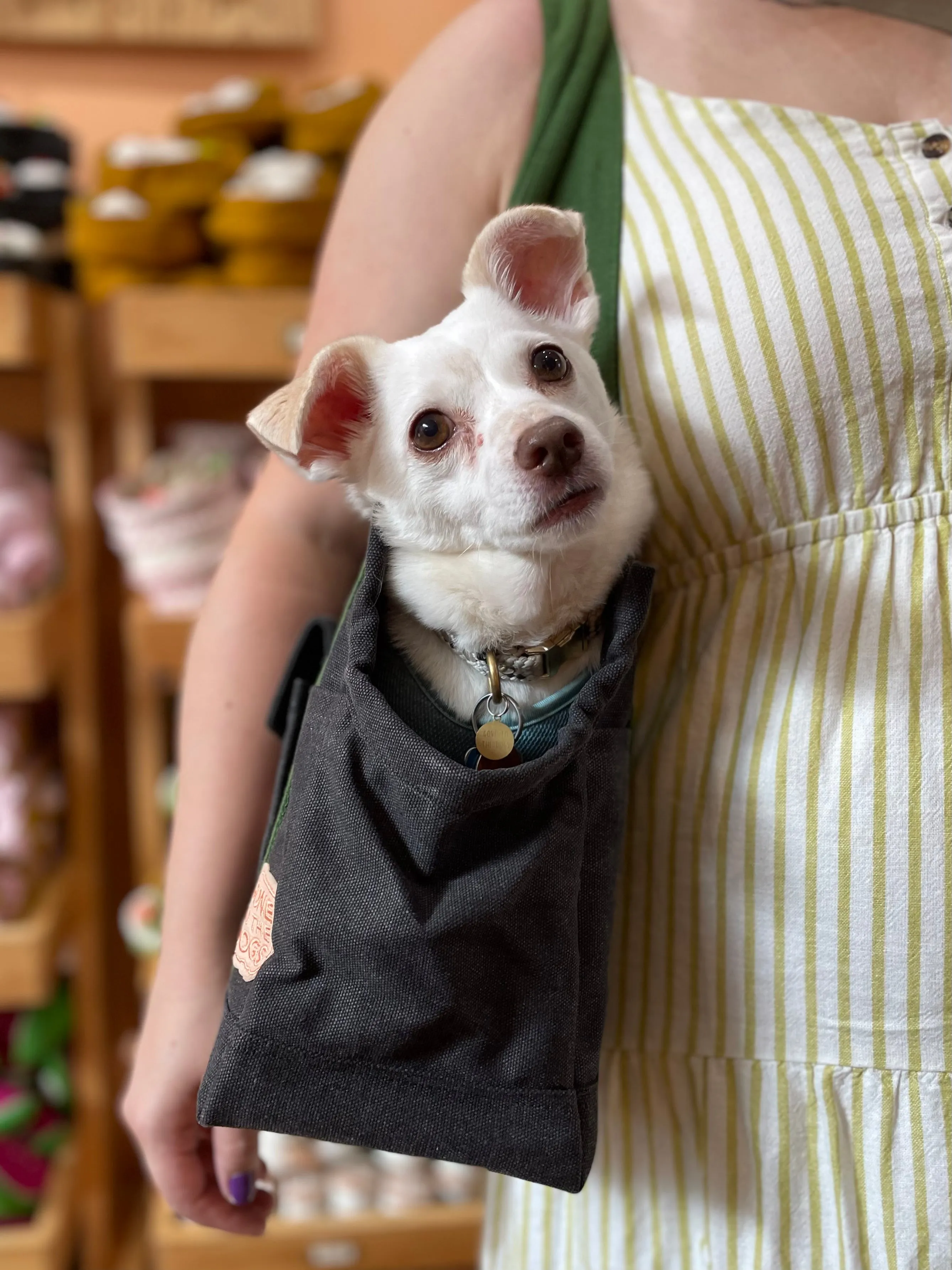 Miles Pet Carrier Bag