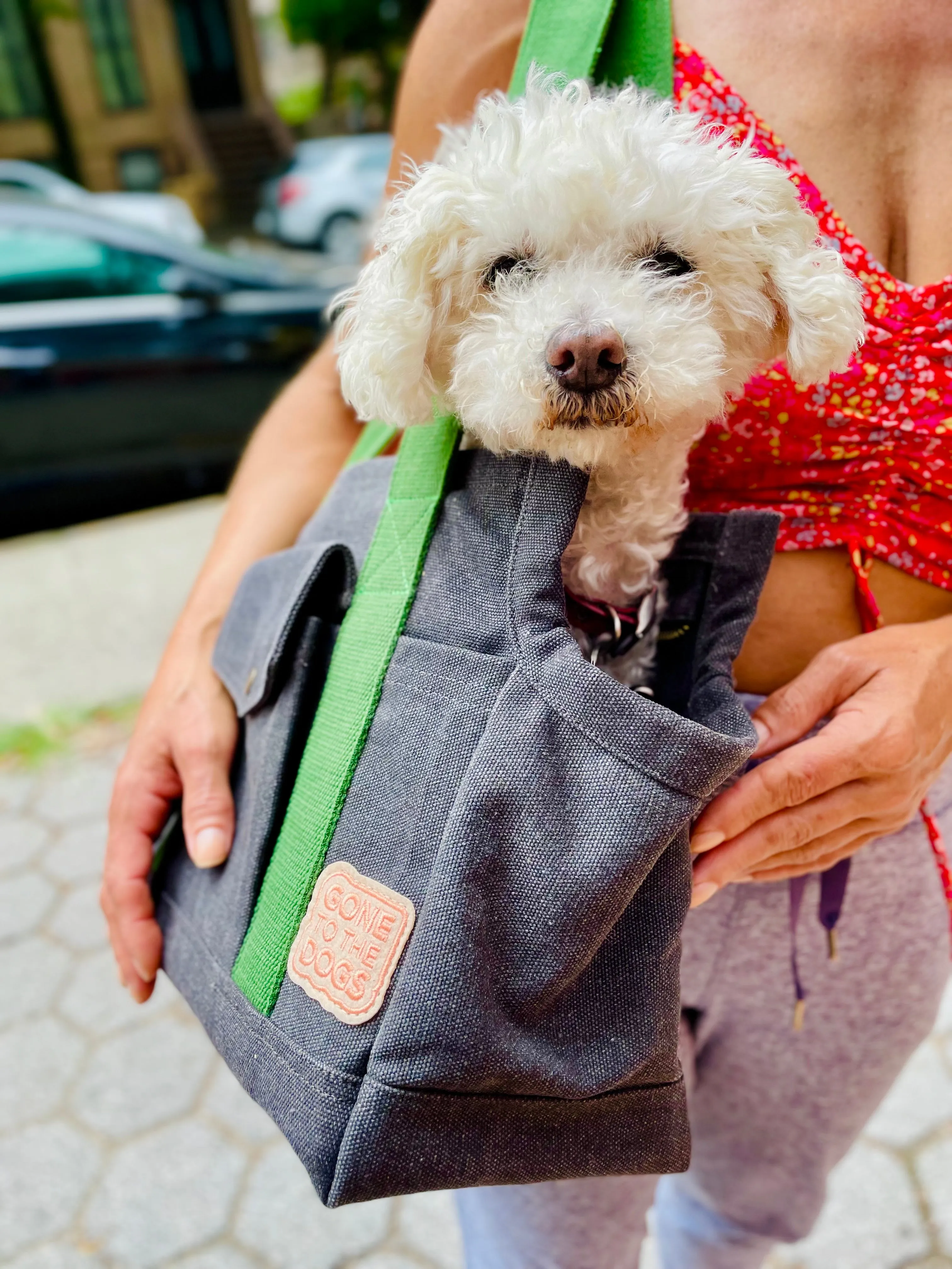 Miles Pet Carrier Bag