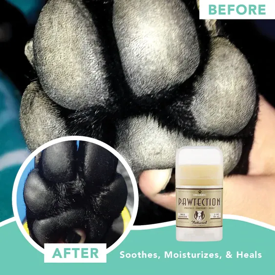 Natural Dog Company Pawtection Paw Balm