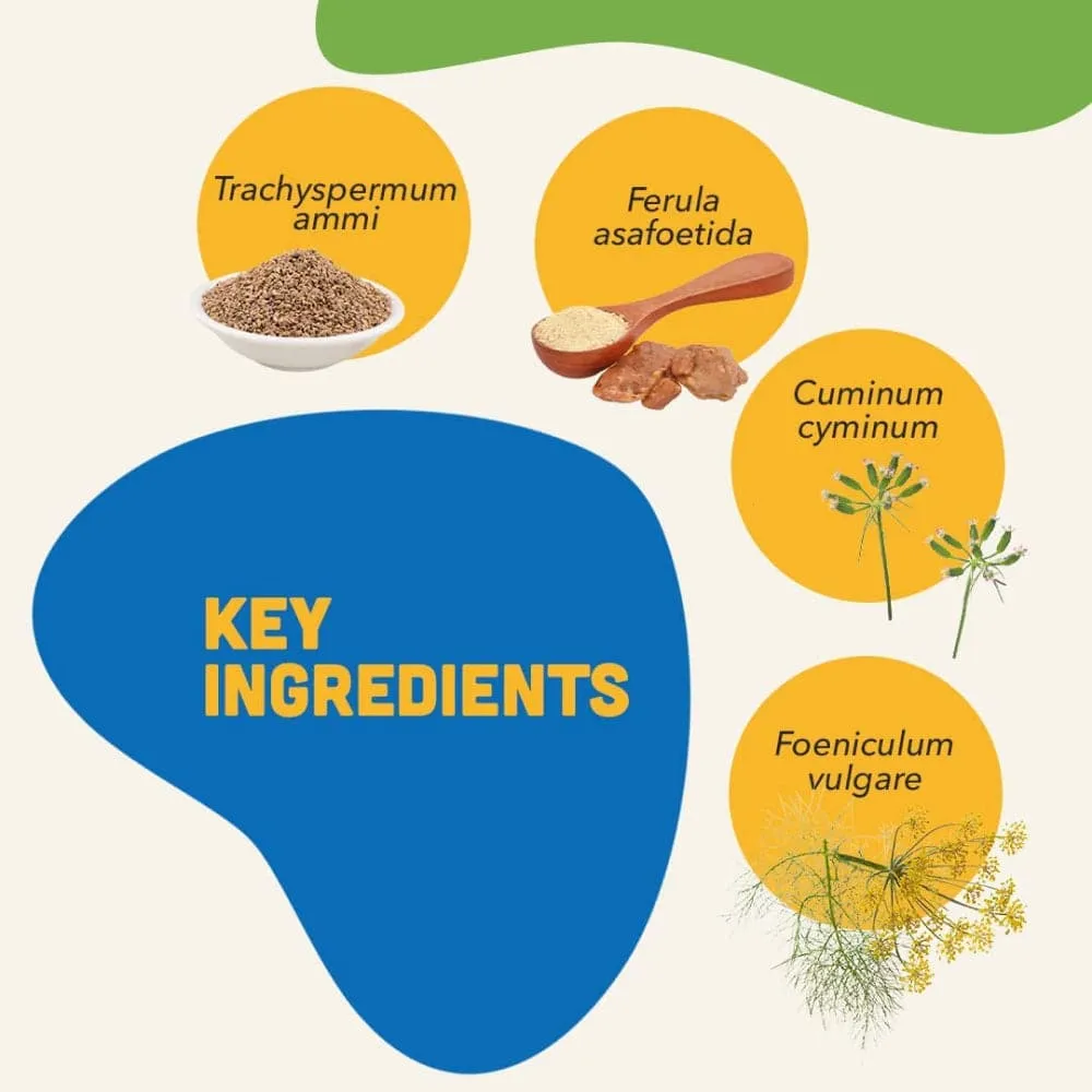 Natural Remedies Digestive Bites Chew Treats for Dogs (Limited Shelf Life)