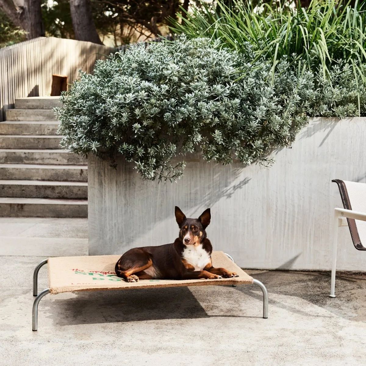 Original Snooza Dog Bed
