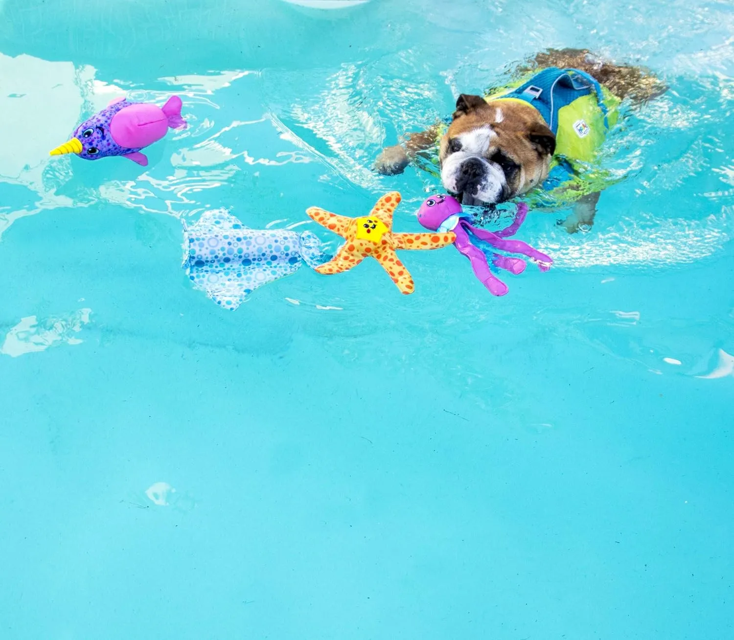 Outward Hound Floatiez Turtle Floating Interactive Dog Toy, Medium