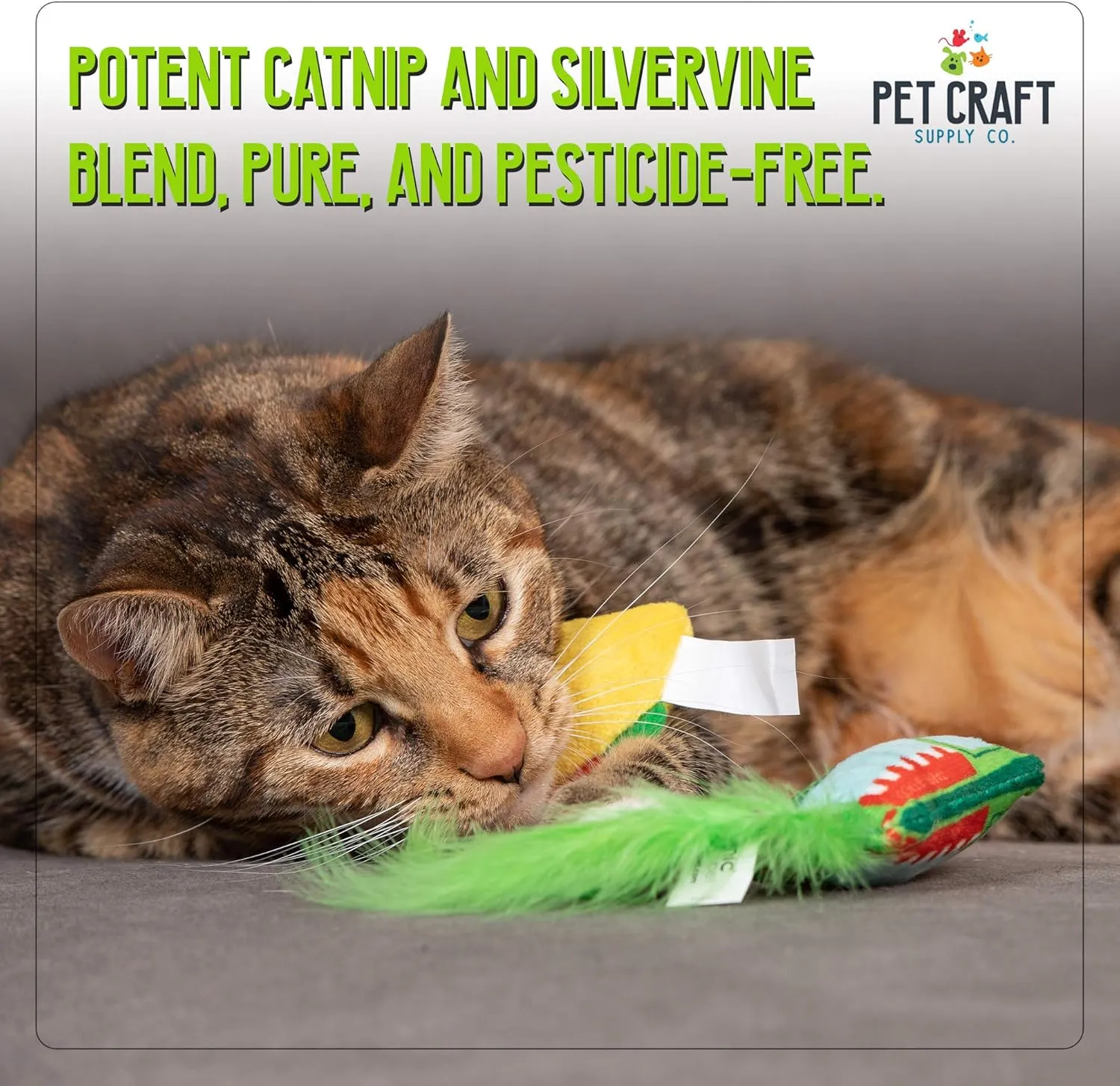 Pet Craft Supply Silly Snacks and Funny Food Crinkle Cuddling Catnip and Silvervine Interactive Cat Toys - Great for Indoor Cats, Kittens; Medium Breeds (Pack of 2)