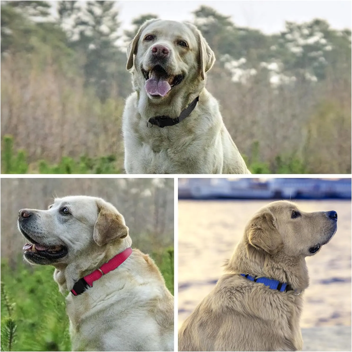 PetJoy Shock Collar Replacement Collar Strap, Bark Collar Replacement Strap 3-Packs, 3/4 Inch Dog Collar with Quick Release Buckle, Length 8-27 Inches and D-Ring