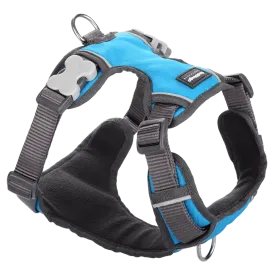 Red Dingo Padded Harness Turquoise S