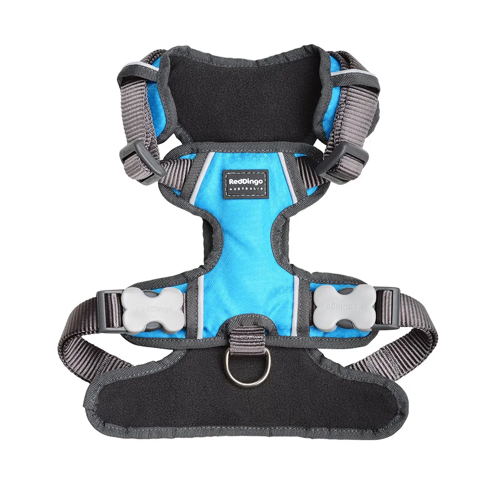 Red Dingo Padded Harness Turquoise S