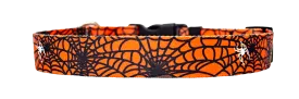 Spider Web Orange Dog Collar