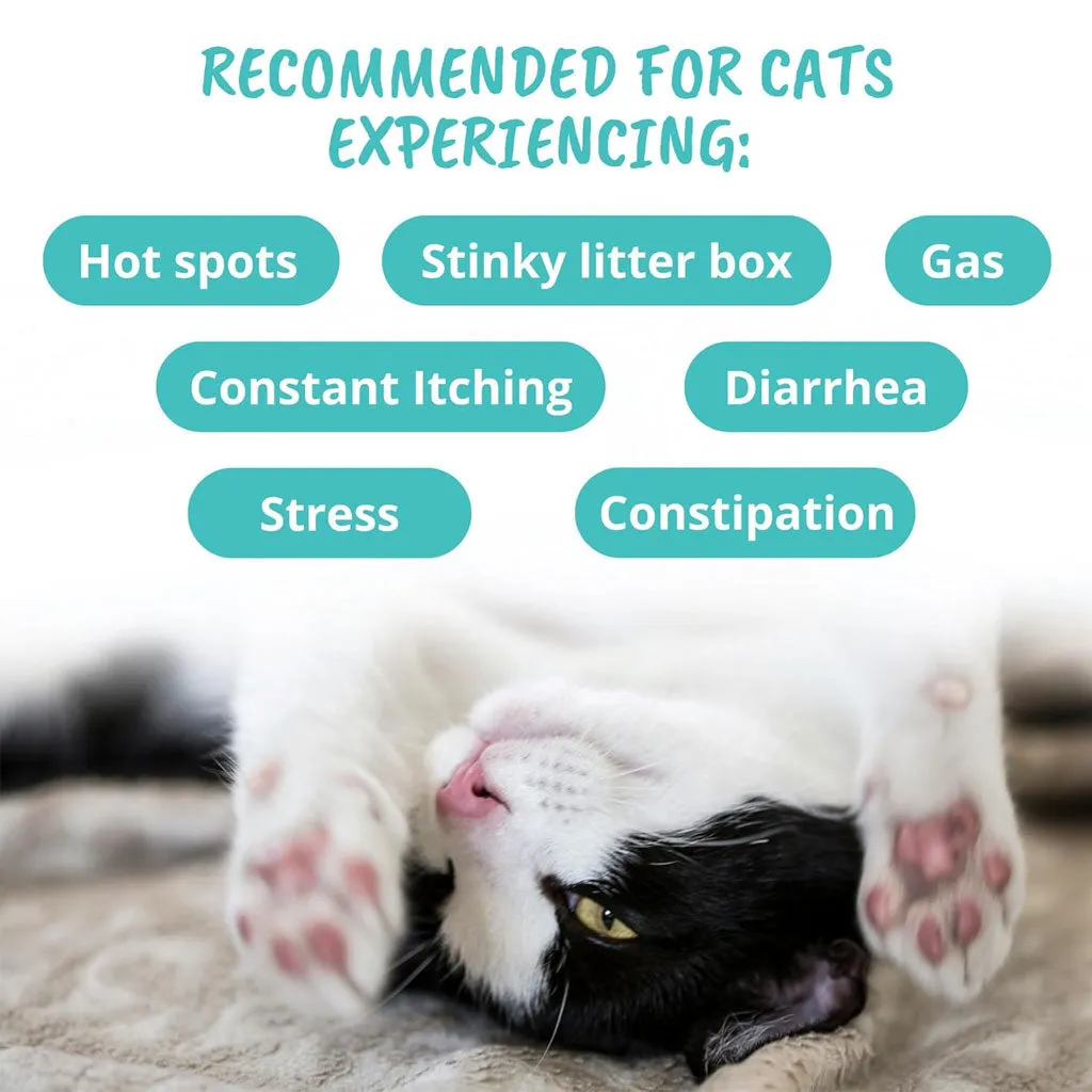 Under the Weather Probiotic Soft Chews for Cats, 60 count