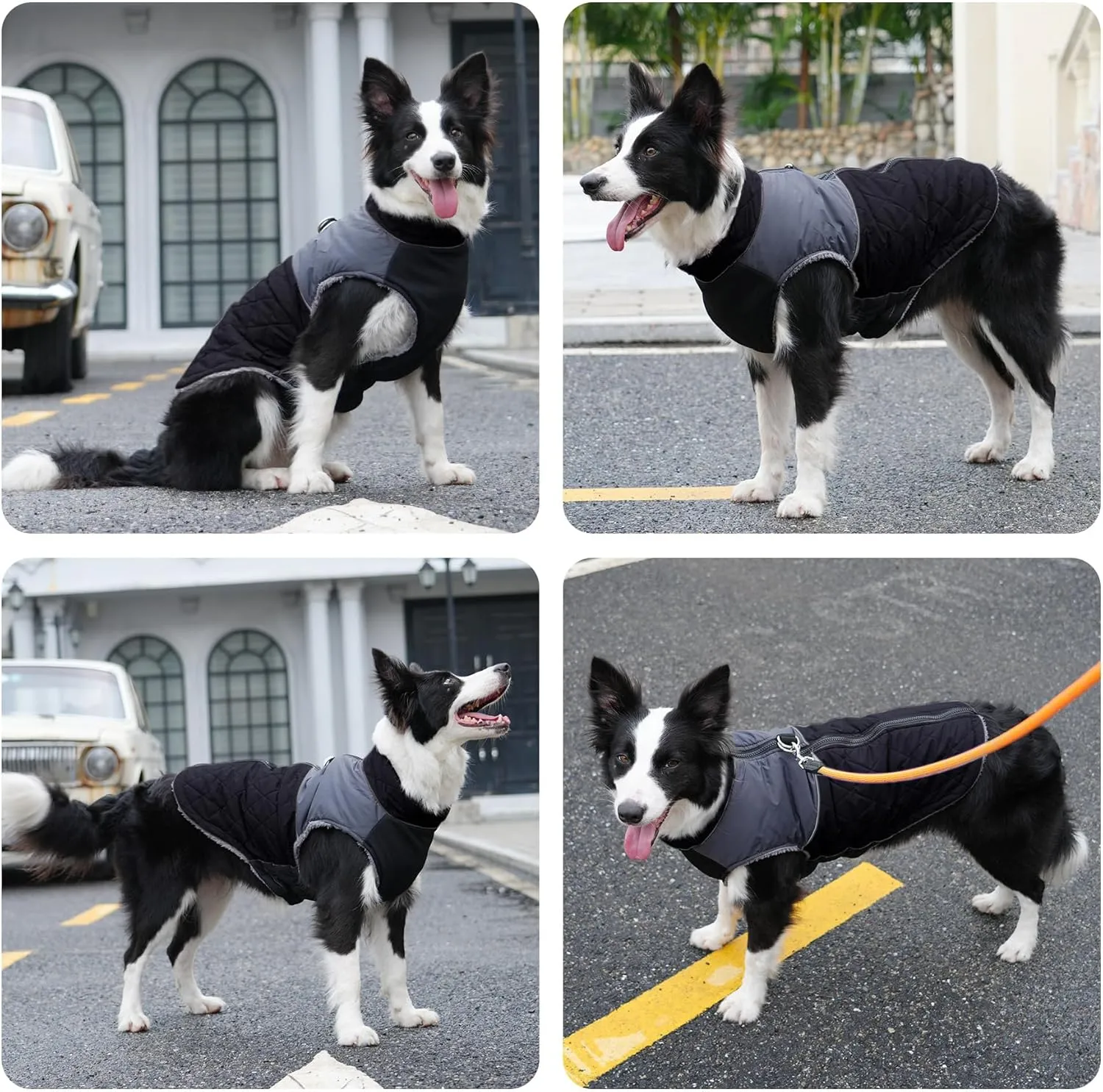 Warm Fleece Dog Coats for Medium Dogs,D-Rings Waterproof Puppy Jacket for Cold Winter,Black XL