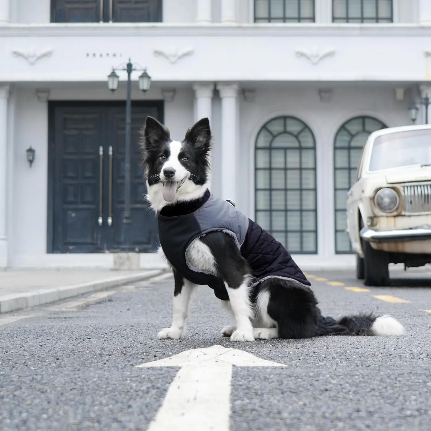 Warm Fleece Dog Coats for Medium Dogs,D-Rings Waterproof Puppy Jacket for Cold Winter,Black XL