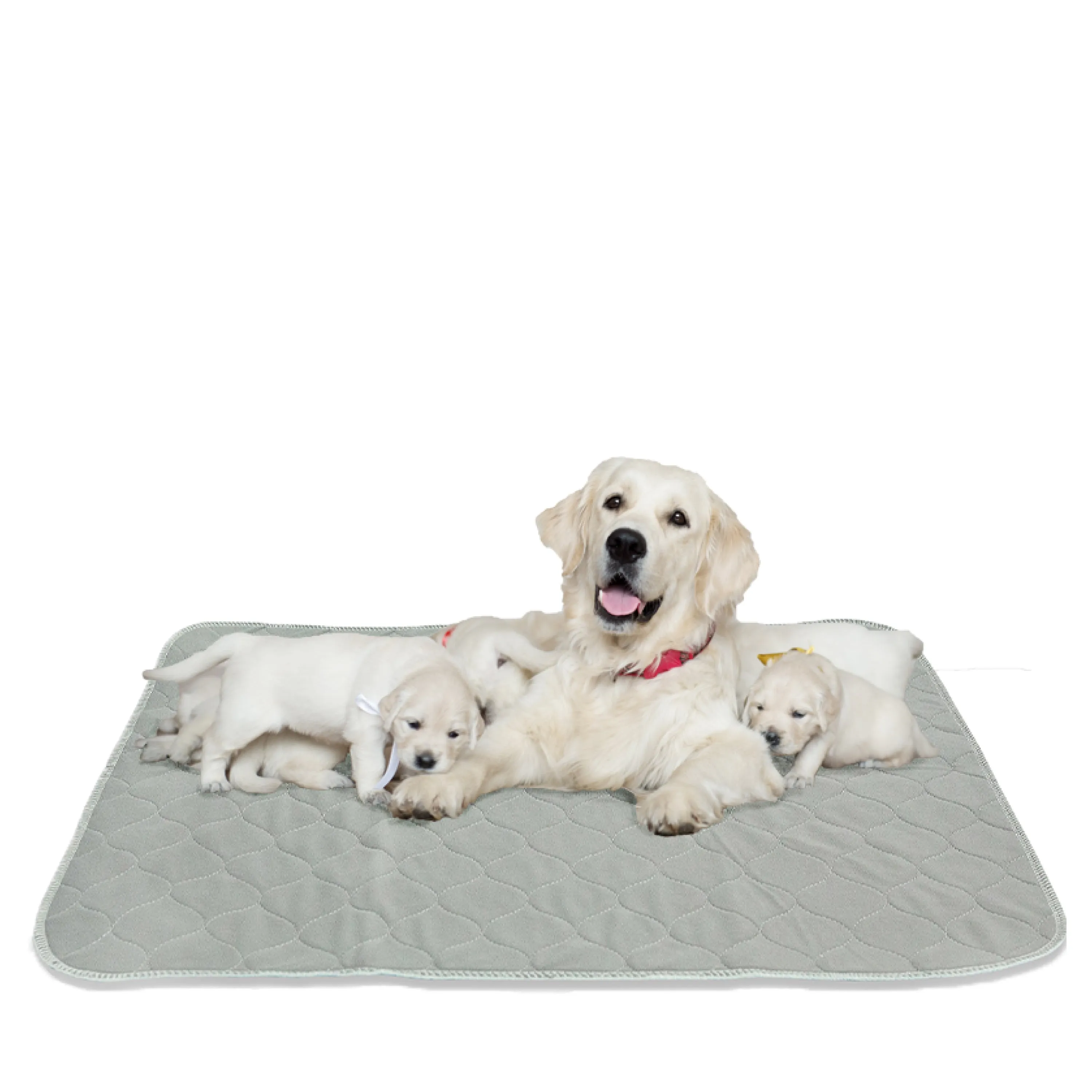 XXL Washable Dog Pad, Nonslip, Grey, 60 x 60"